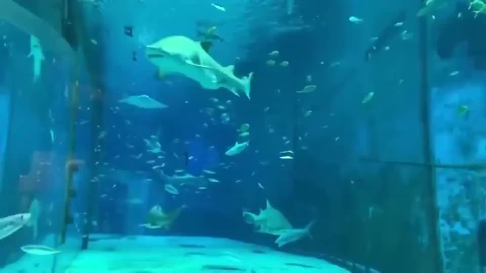 寻找战宝船